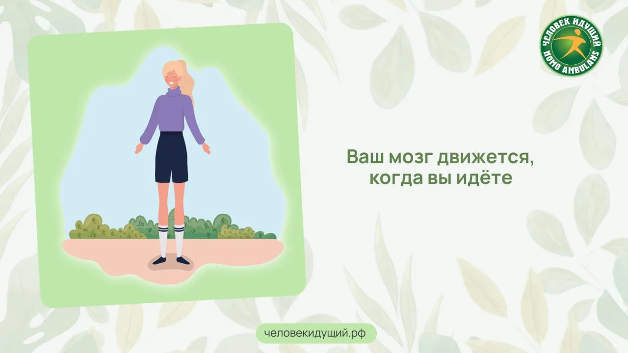 Учёные выяснили: во время ходьбы мозг слегка смещается внутри черепа - на несколько микронов вперёд 