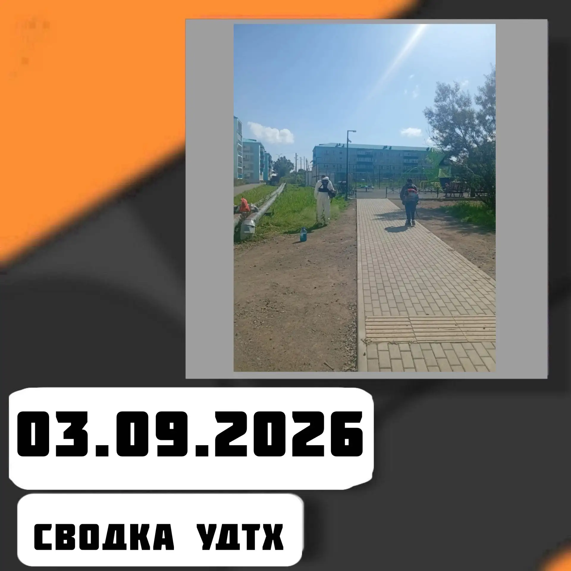 ➡️Сводка УДТХ на 03.09.2026