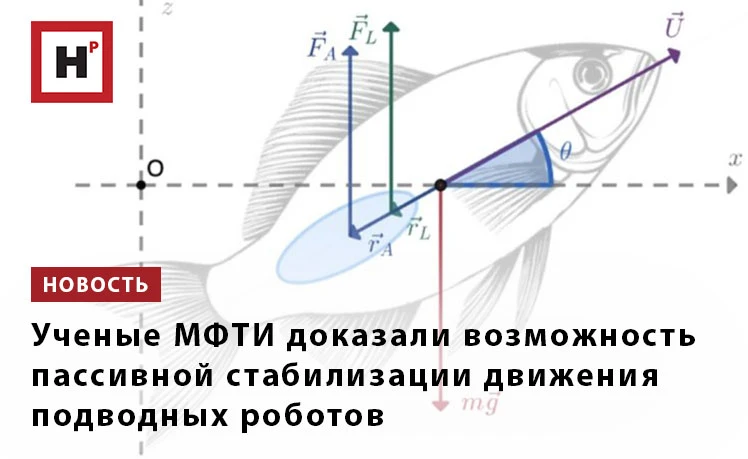 Ученые МФТИ создали математическую модель движения роботов-рыб, использующих аналог пла...