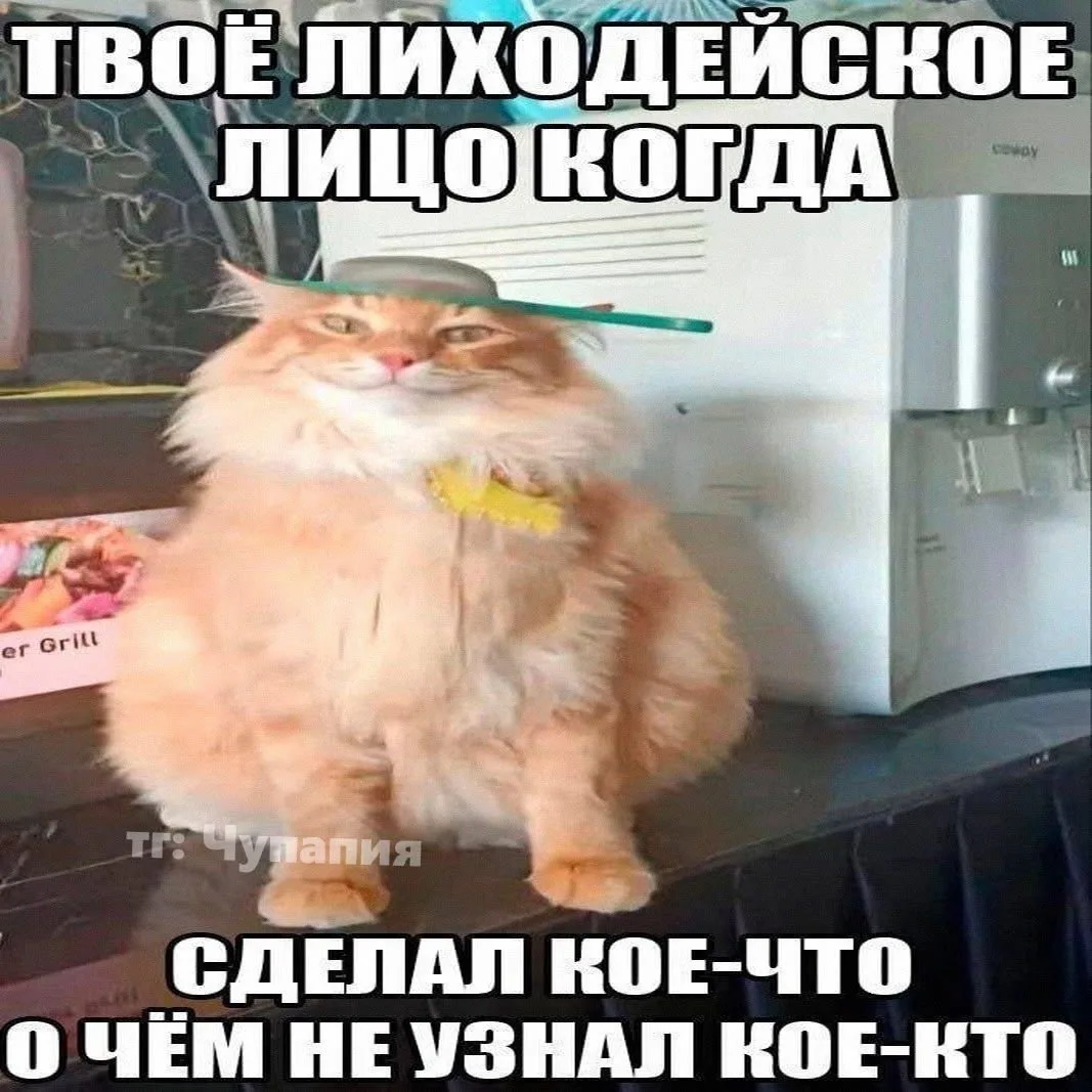 КОЗЕРОГ, 21 июня. У тебя хорошо получается кое-что скрывать

🛑Твои личные предсказания судьбы в наш