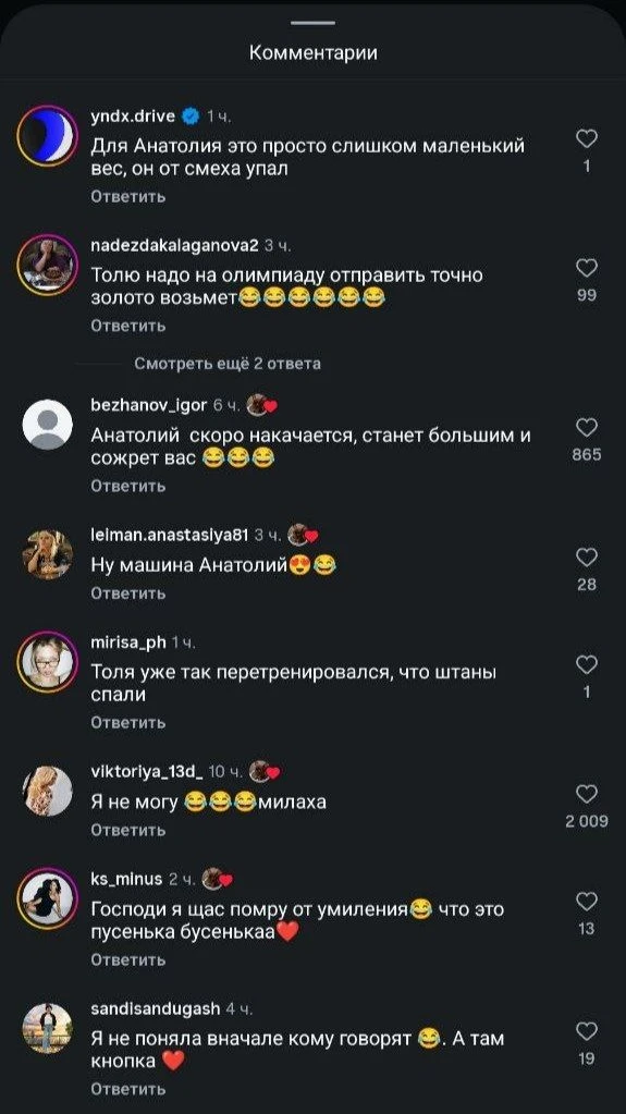 Чихуахуа Анатолий — новая звезда рилсов. Хозяйка показала как тренирует эту машину для ...
