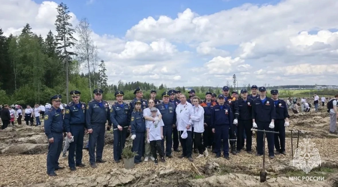 🌳Сотрудники МЧС России Подмосковья приняли участие в акции «Сад Памяти»  Московская область приняла 