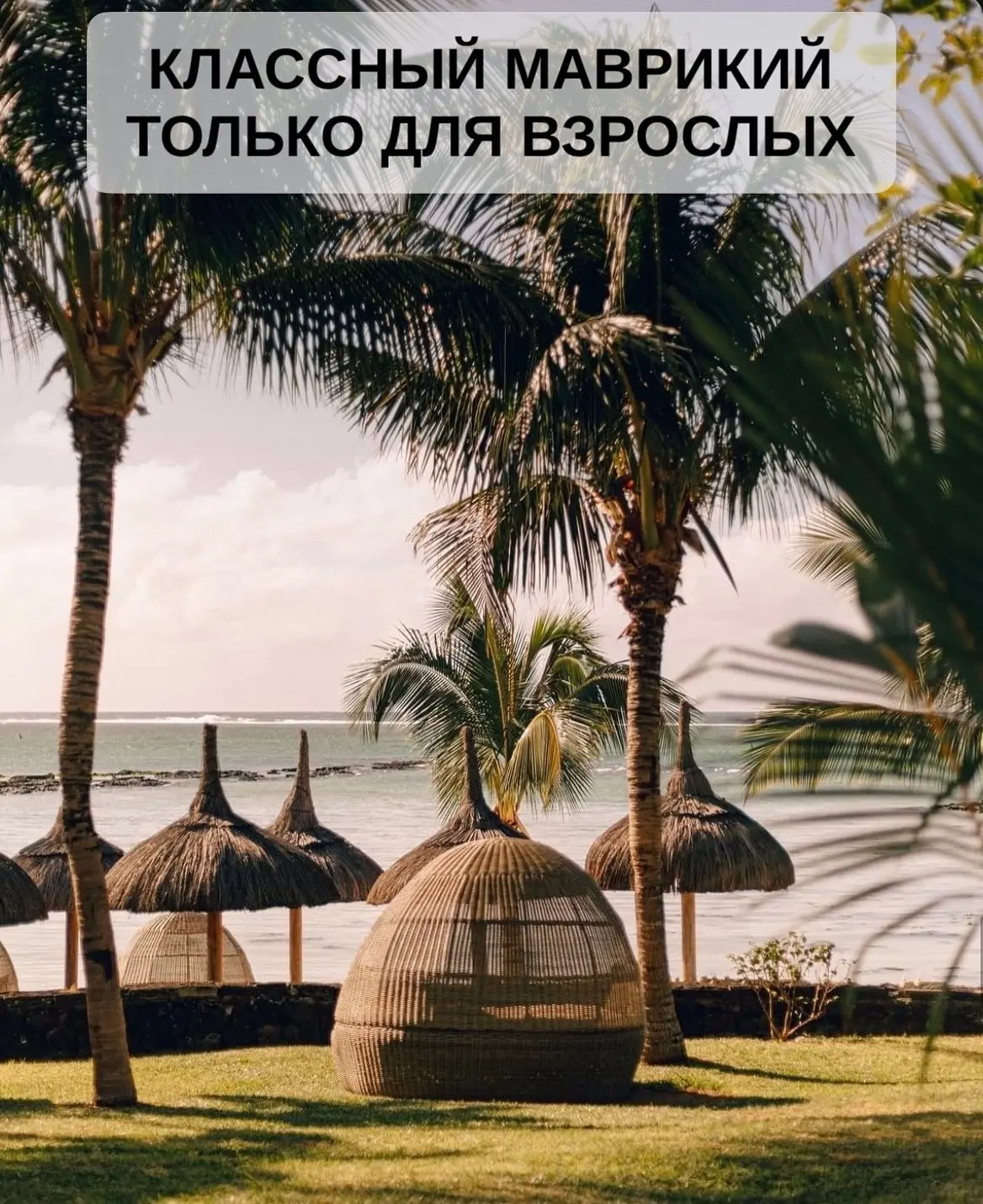 ❤️КЛАССНЫЙ МАВРИКИЙ ТОЛЬКО ДЛЯ ВЗРОСЛЫХ