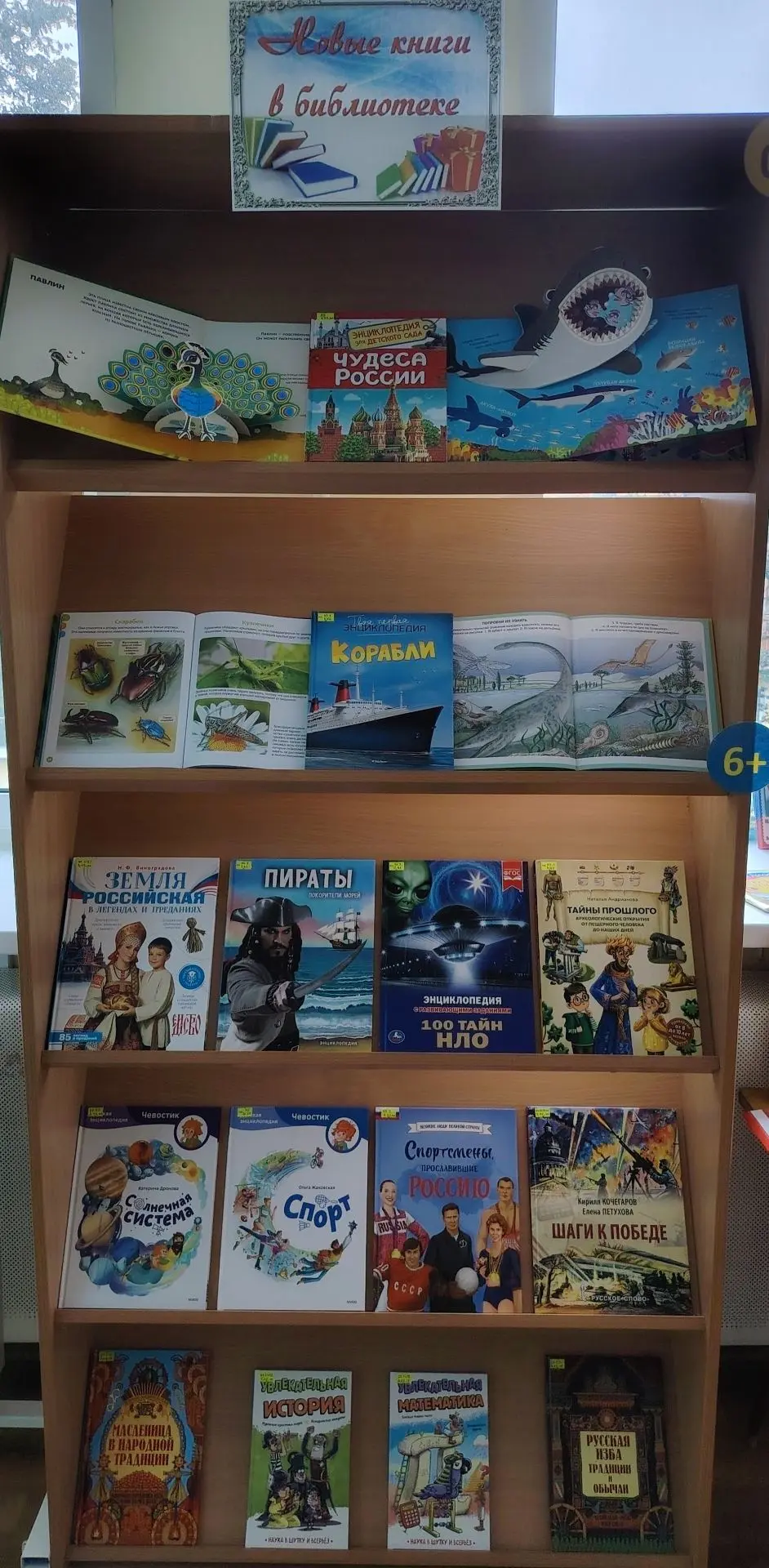 ​НОВЫЕ КНИГИ В БИБЛИОТЕКЕ!