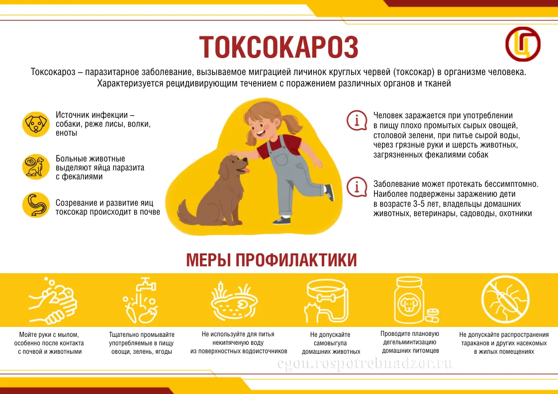 Как защитить себя и близких: подробная информация о возбудителях и путях распространения❗