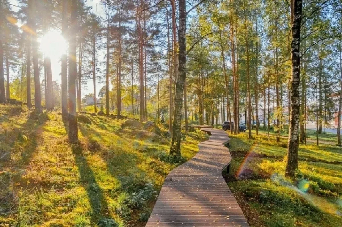 ☀️Жара до +28 градусов будет завтра в Ленобласти, — синоптики.