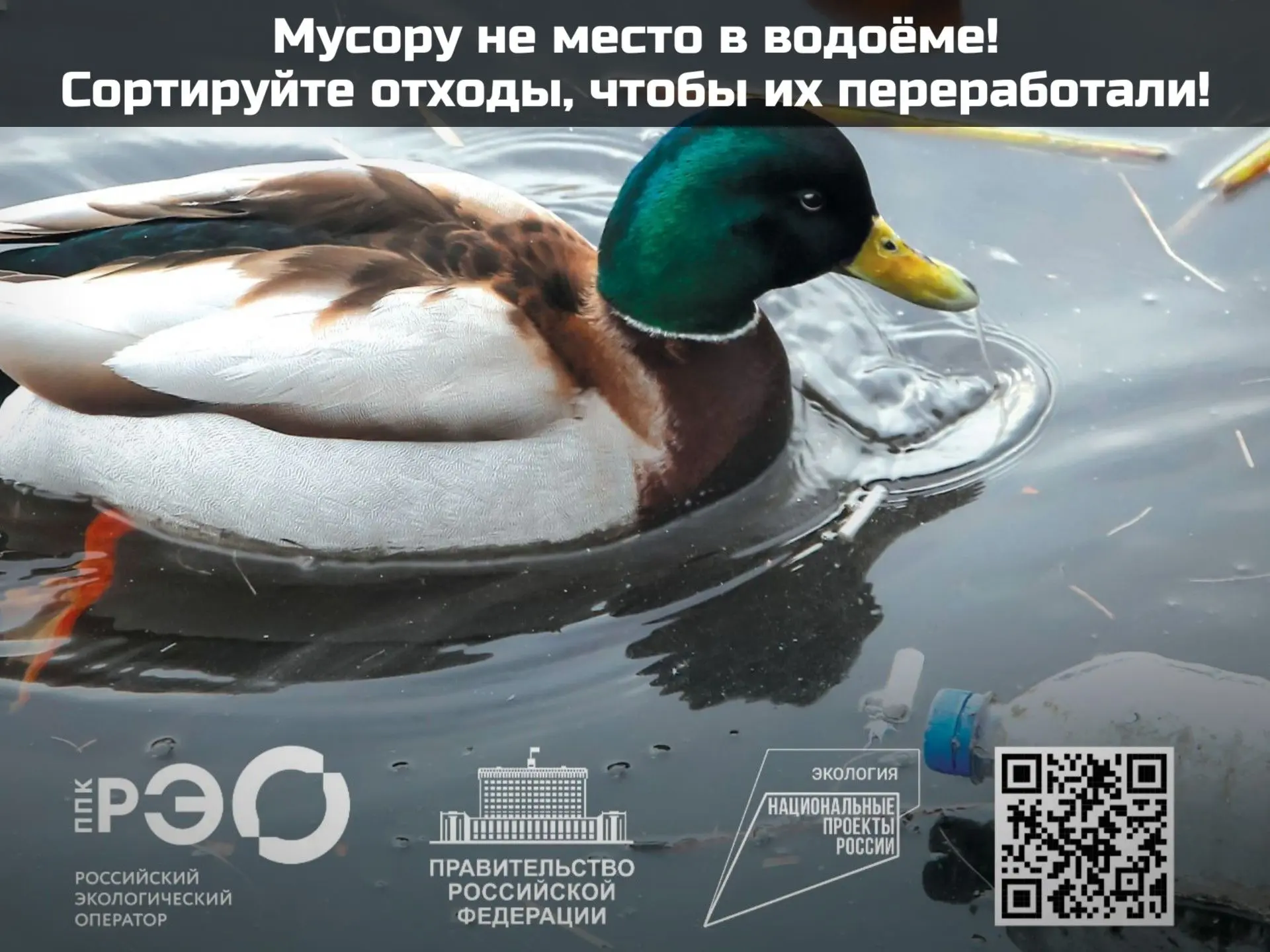 Одной из главных экологических проблем современности является растущий объём мусора

При ответственн