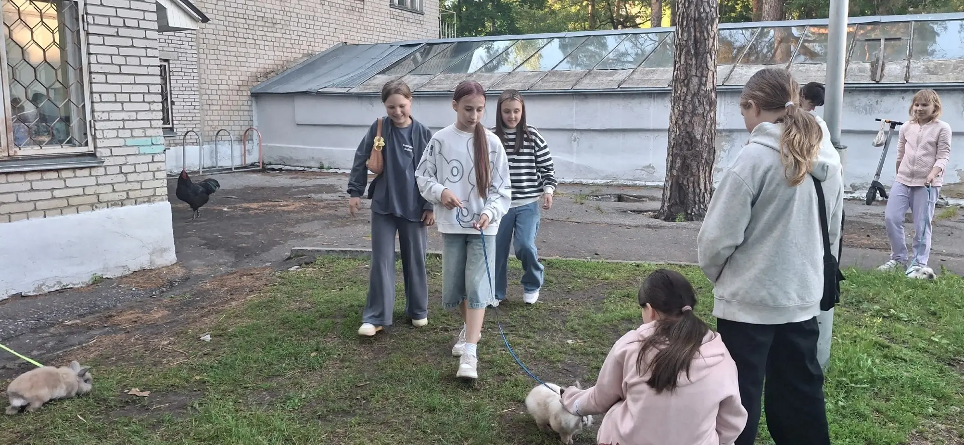Напоминаем, что на базе Дворца творчества детей и молодежи регулярно проходят мероприят...