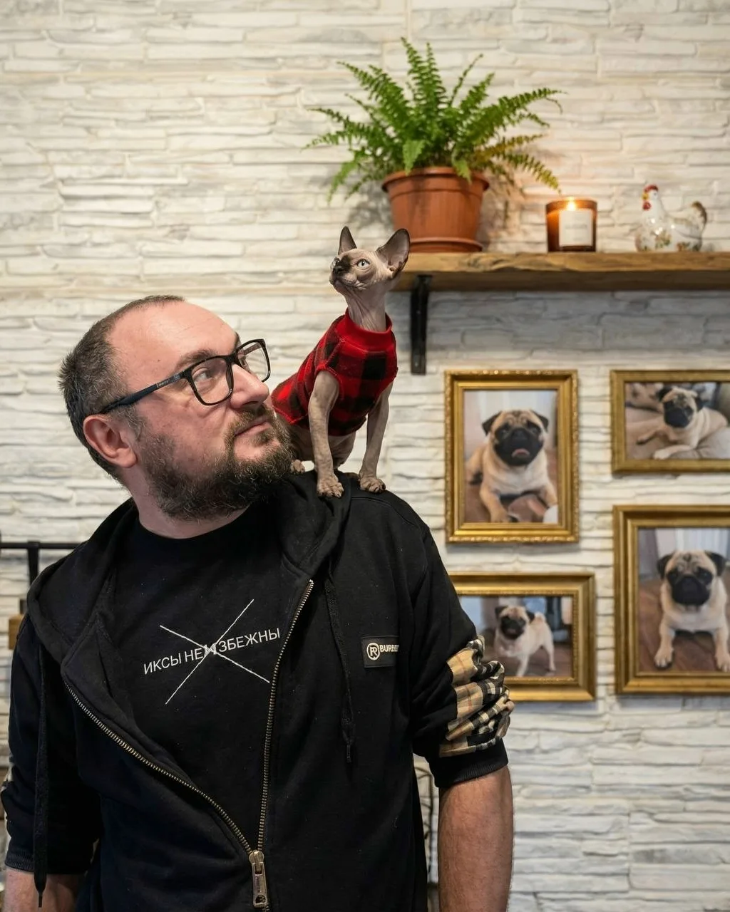 Сколько стоит починить кошку?