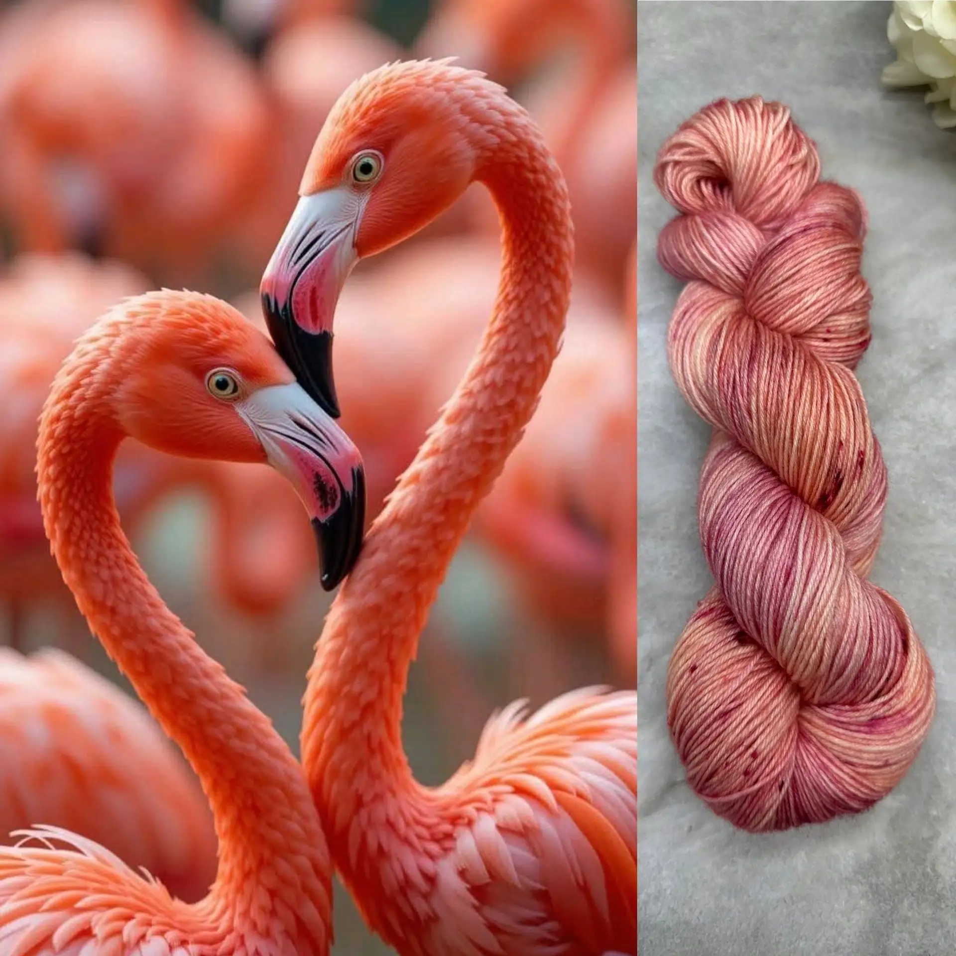 Фламинго 🦩
