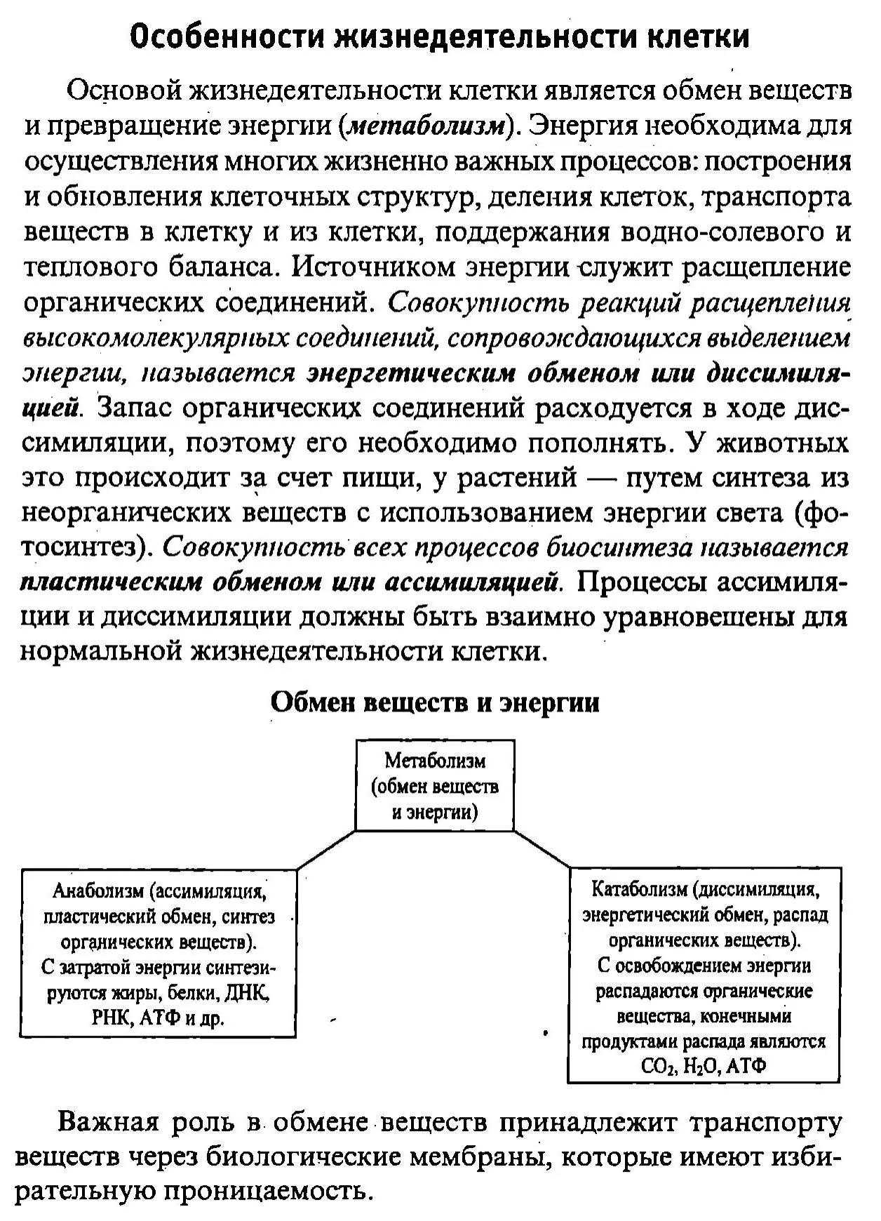 Особенности жизнедеятельности клеток