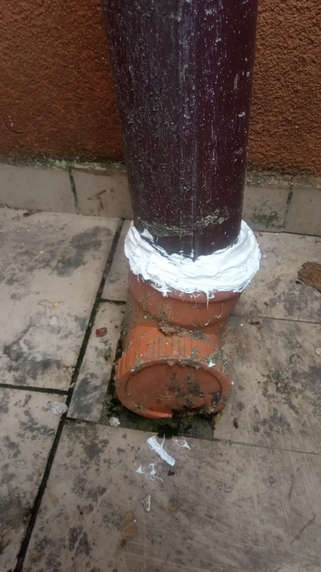 🏠Г. Калининград