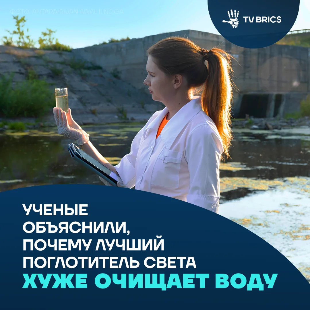 Усилить поглощение света удалось, а очистку воды – нет. Такой результат получили россий...