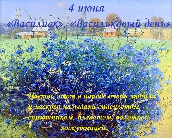 Василёк - род травянистых растений семейства Астровые. Известно более 550 видов, распространённых по