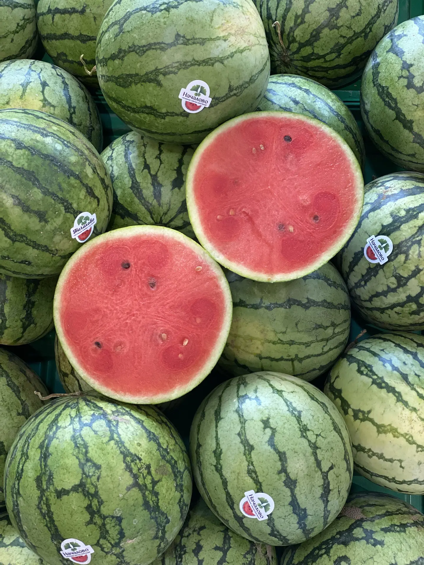 Арбуз Началово 🍉  Порционный, сочный, плотный, хрустящий, тонкокорый и сахарный 😋