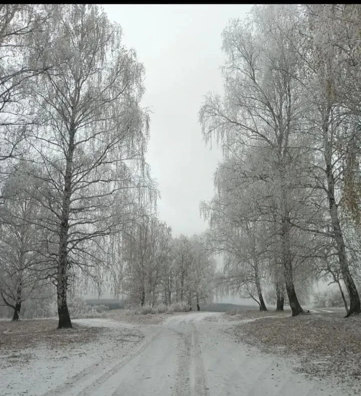 ❄️Баймаҡ районының Өмөтбай ауылында ла тәүге ҡар яуған