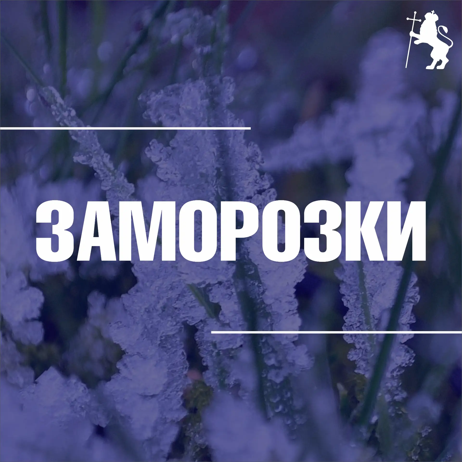 Осень наступила: впереди похолодание до -1°