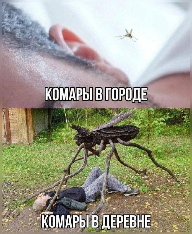 👀 Россиян предупредили о нашествии комаров в ближайшие две недели.