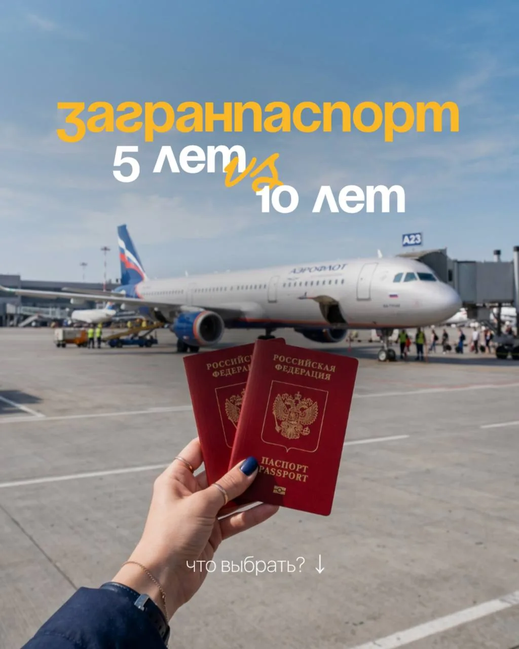 Загранпаспорт: 5 или 10 лет? 
— что выбрать в 2026 году ✈ 
 
Собрались оформлять загранпаспорт и не 