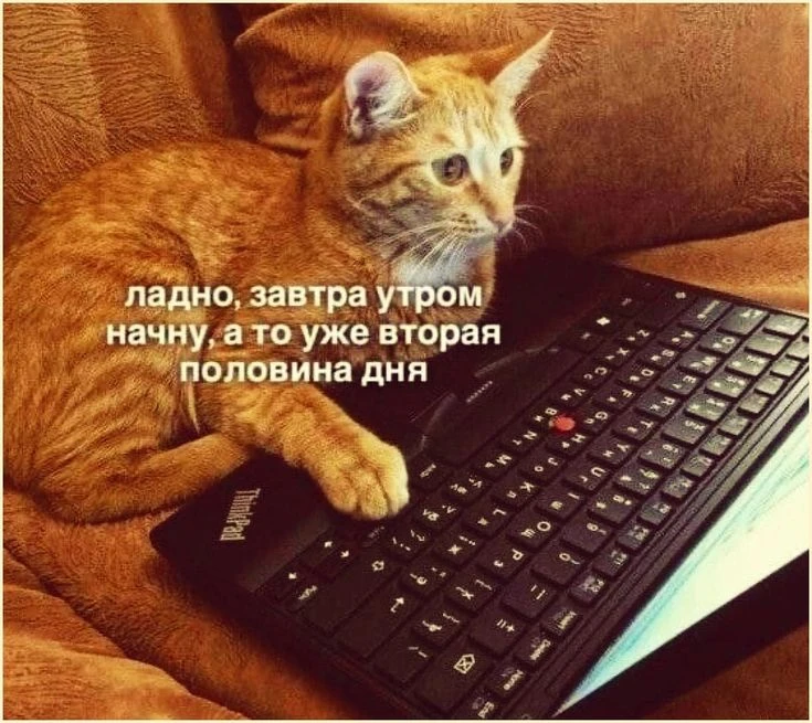 Доброе утро, Новосибирск!