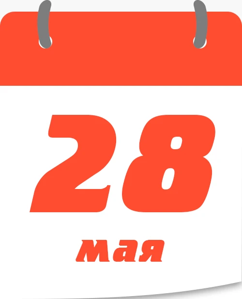 День пограничника.