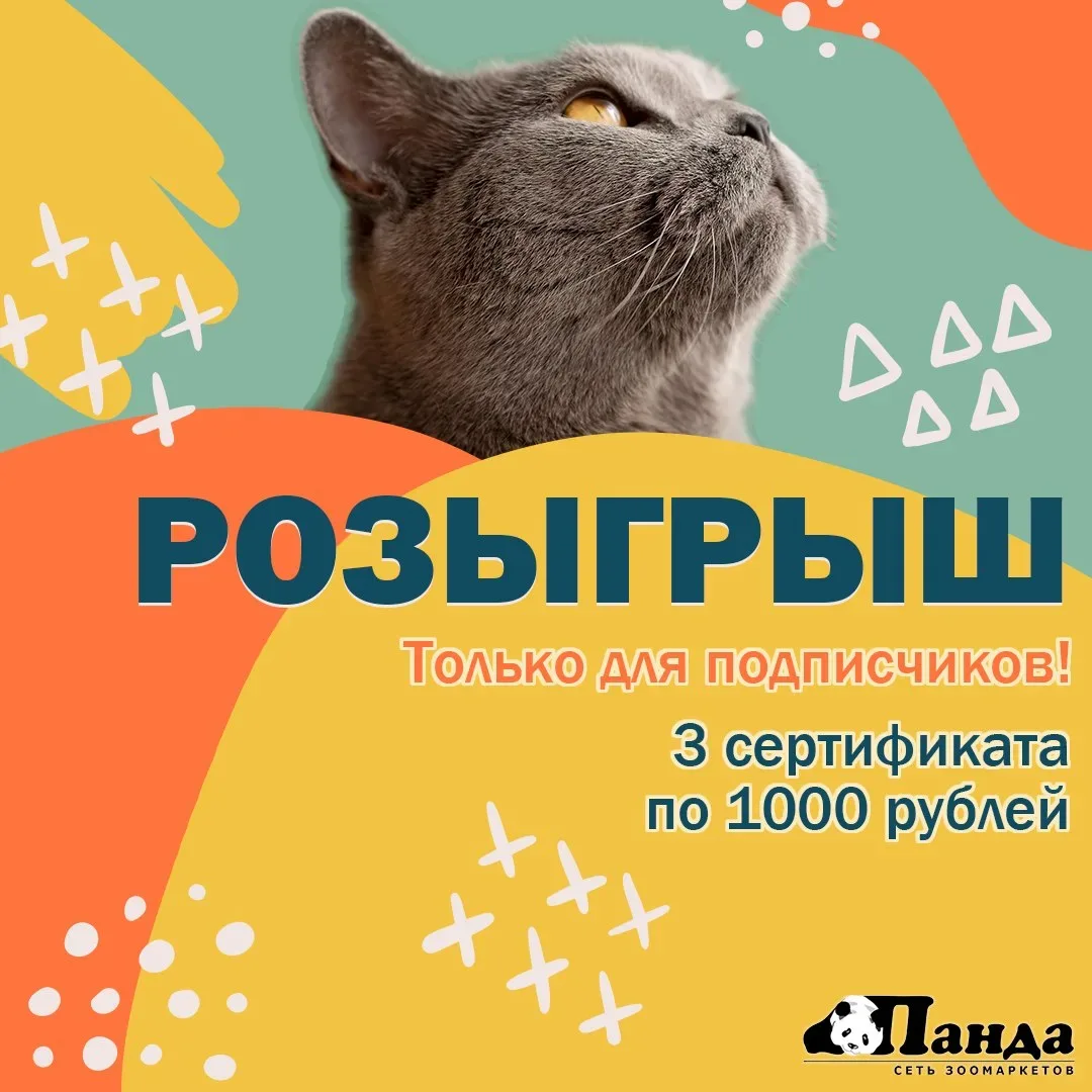 Напоминаем про розыгрыш "Пандомания"!

❤️ Дарим победителям 3 сертификата по 1000 рублей!

🥰 Просто