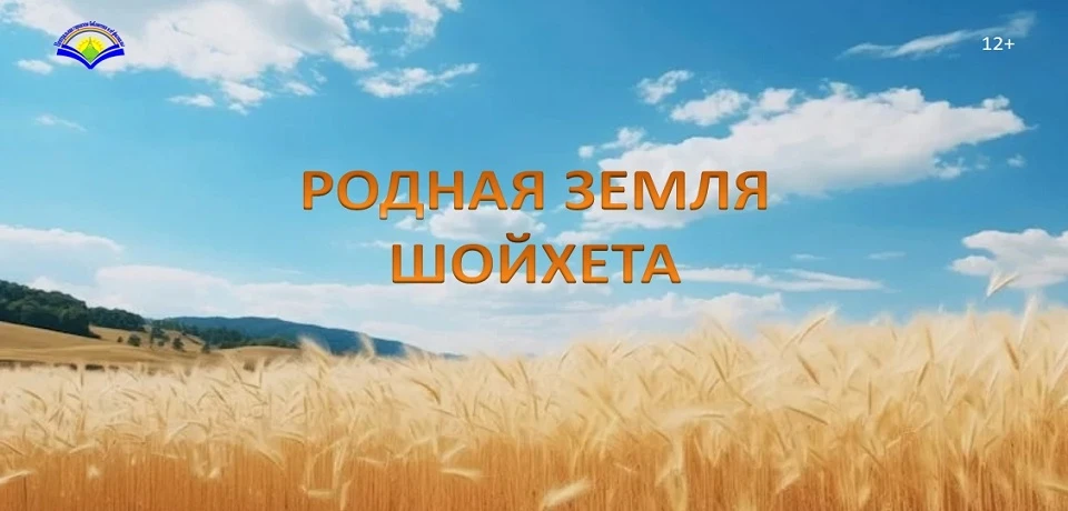 Благодаря творчеству журналистов и писателей, Биробиджан всегда считался самым литерату...