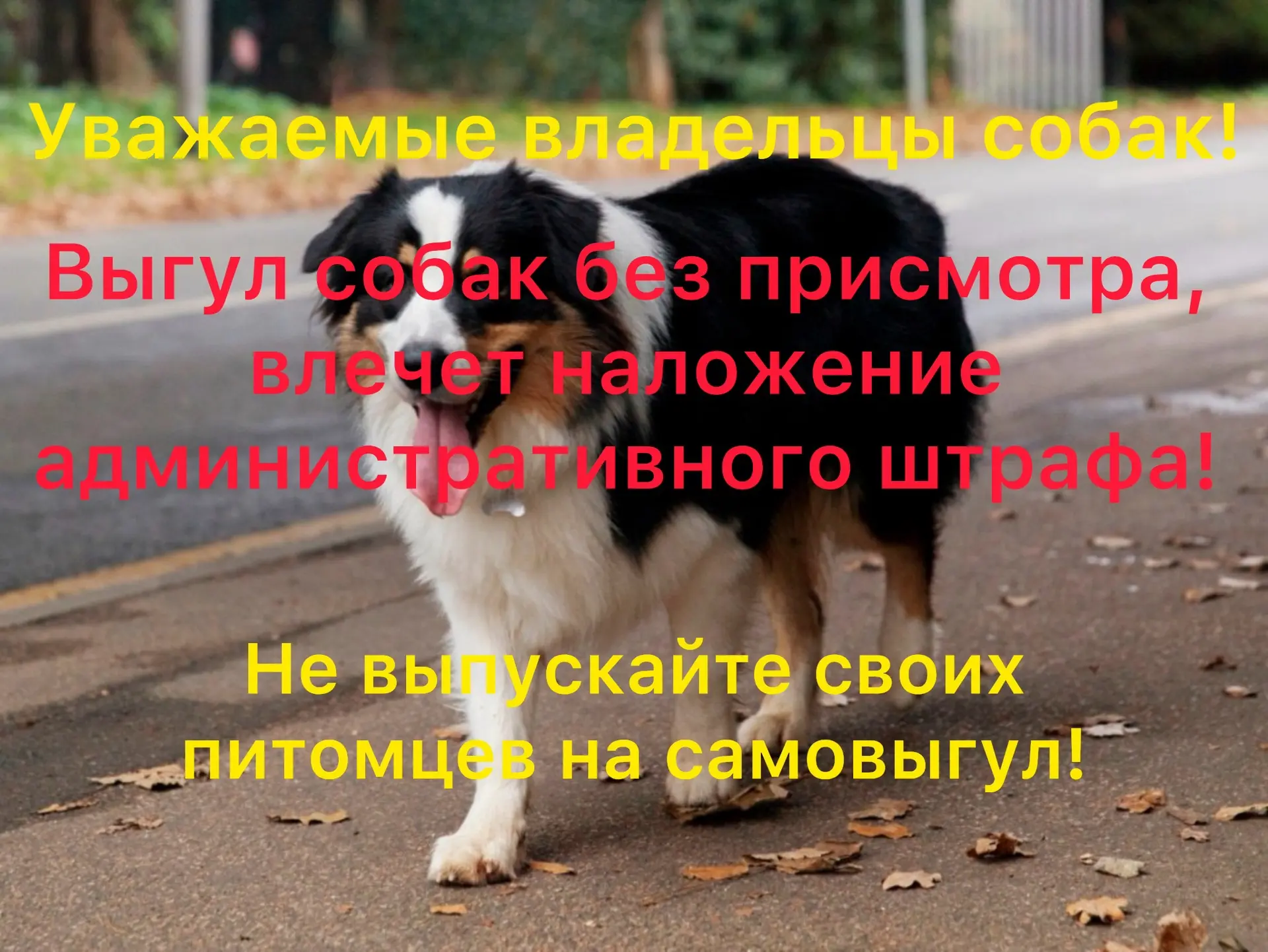 📢 ИНФОРМАЦИЯ ДЛЯ НАСЕЛЕНИЯ 📢