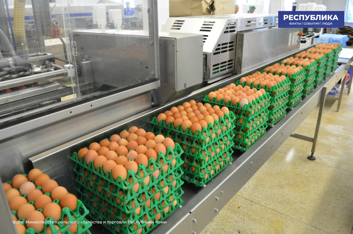 В сельхозорганизациях Коми растёт производство продукции животноводства

За январь–май 2026 года по 