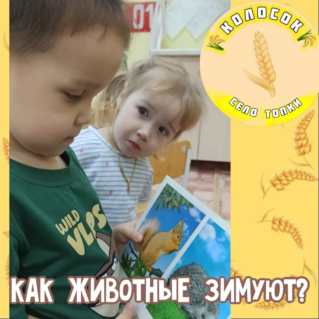 Ребята разбираются -