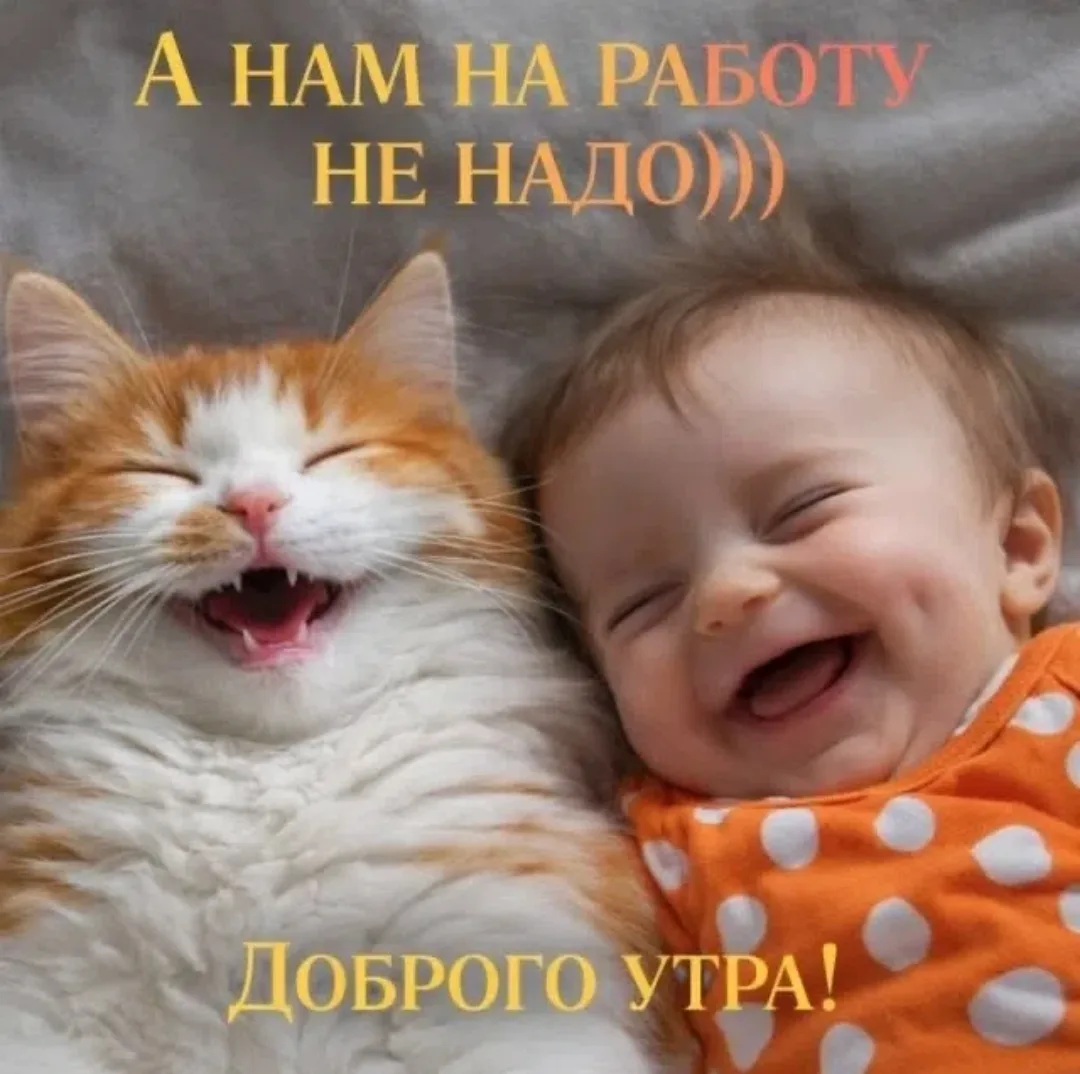 Доброе утро, друзья❤️
