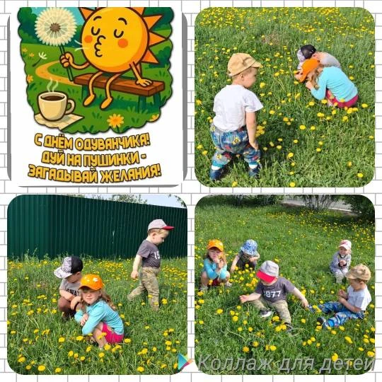 Одуванчик, одуванчик!