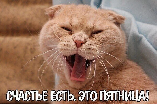 Дожили до пятницы!😍