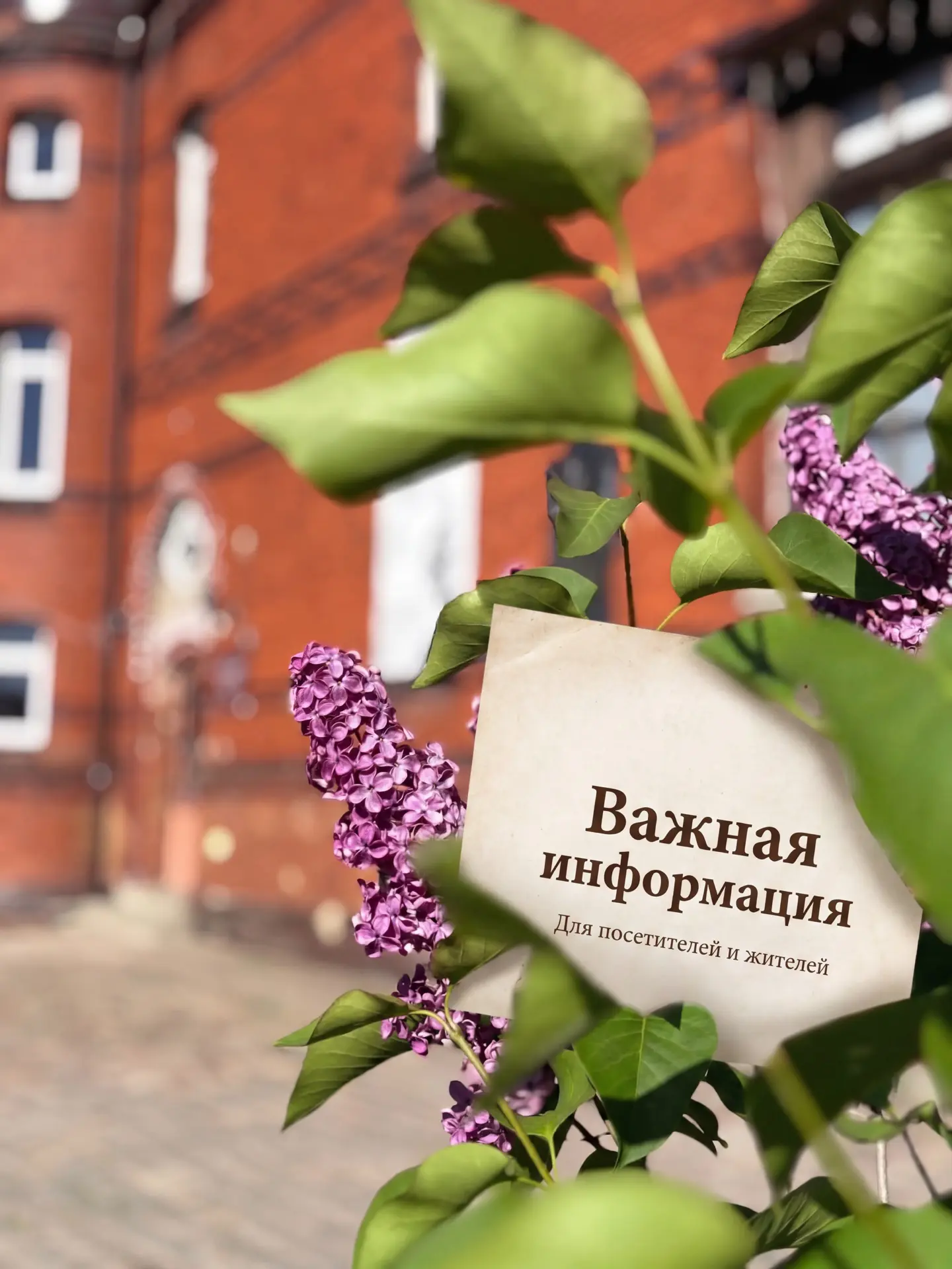 Друзья, обратите внимание: даты и время некоторых мероприятий из нашего майского дайдже...