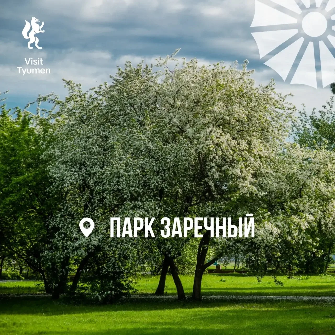 🌸 Хотим утопать в цветах!  На деревьях уже созревают цветы, а мы давно созрели для весенних фотосесс