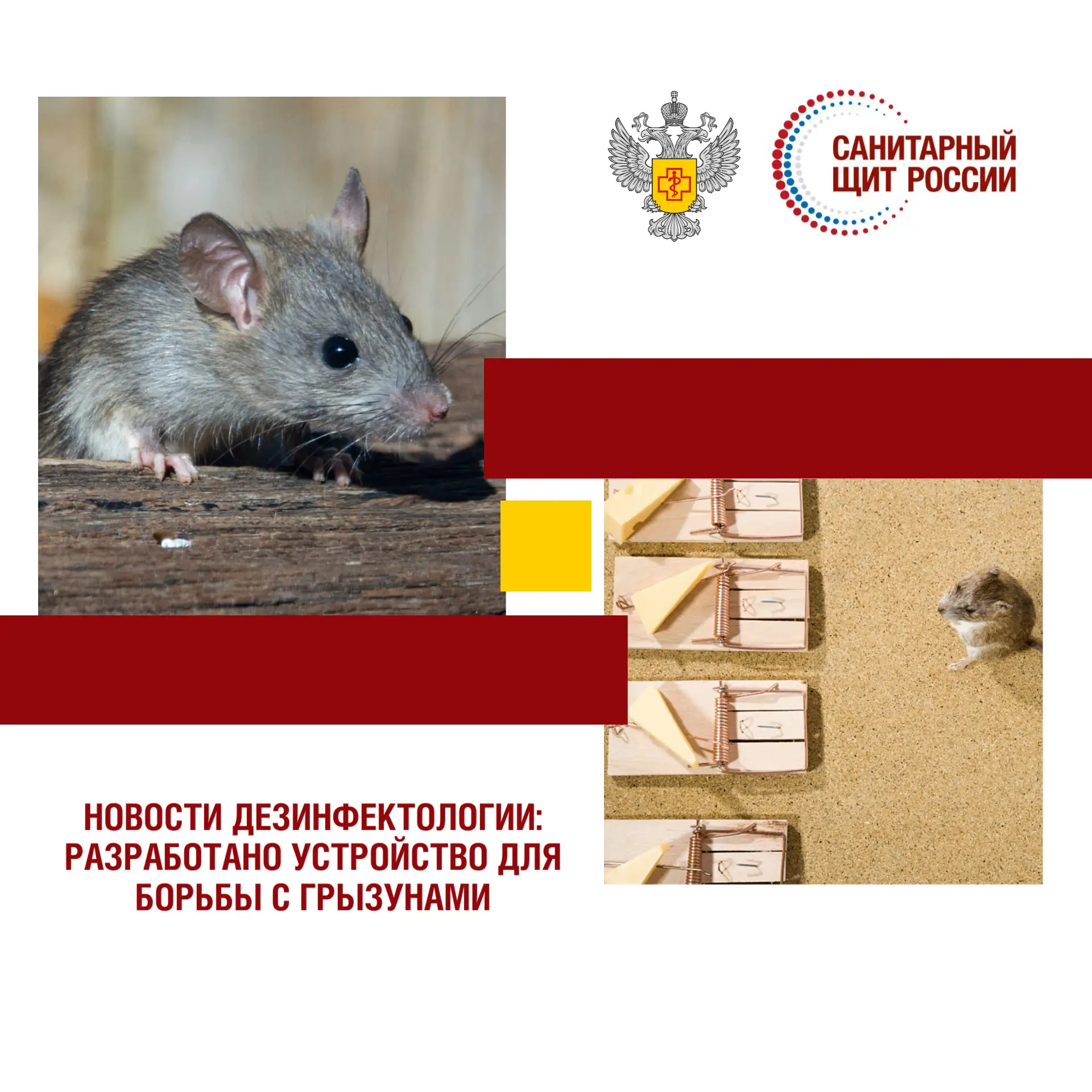 Новости дезинфектологии: разработано устройство для борьбы с грызунами

#санпросвет #санитарныйщитро