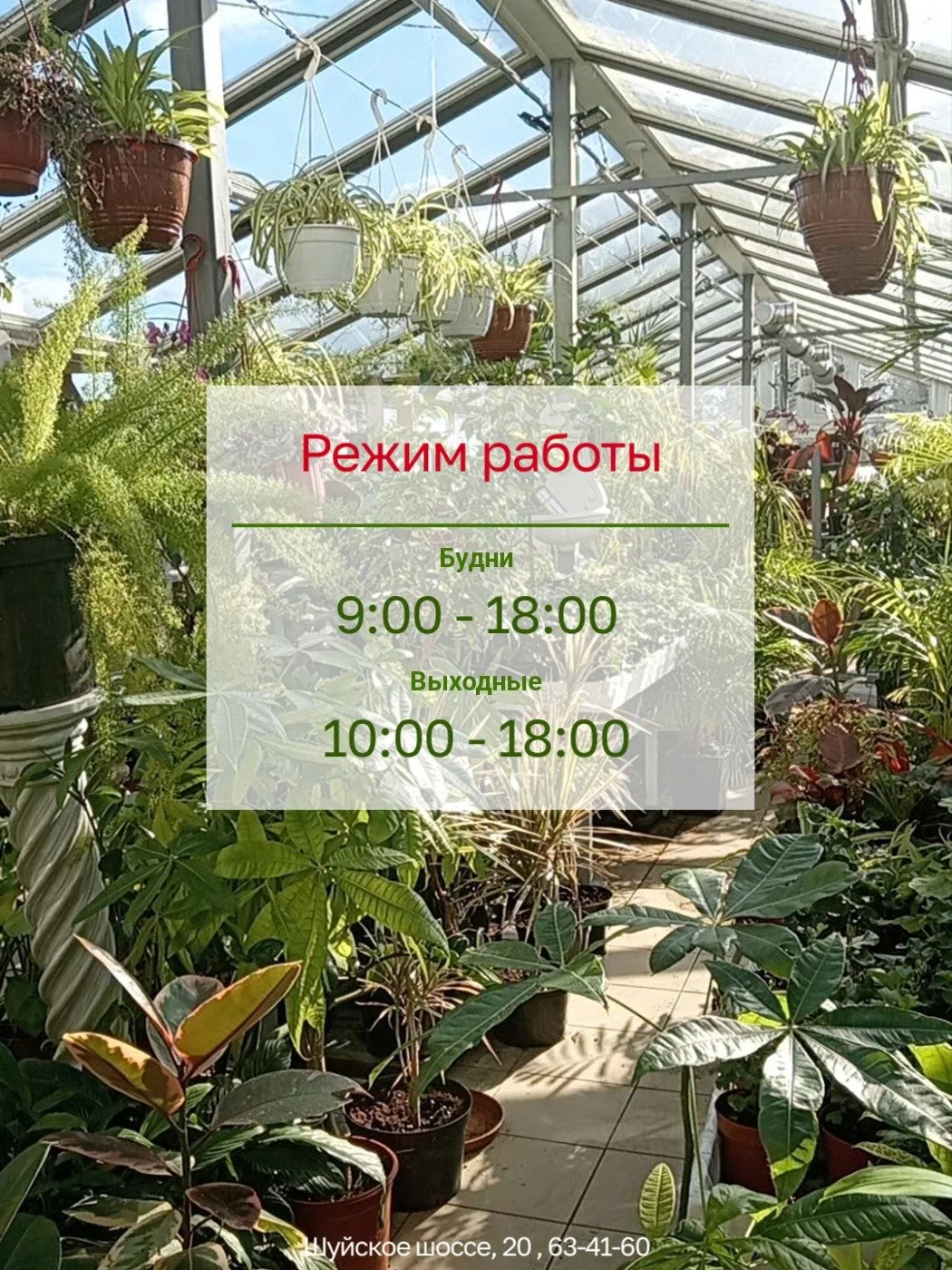 🌿 С 5 октября — новый режим работы!