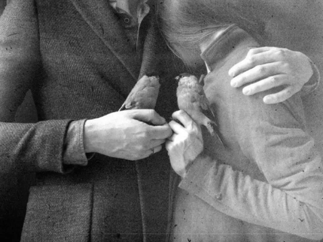 Почему люди разводятся? Муж и жена не любят друг друга, они живут для себя. Нелюбовь во...