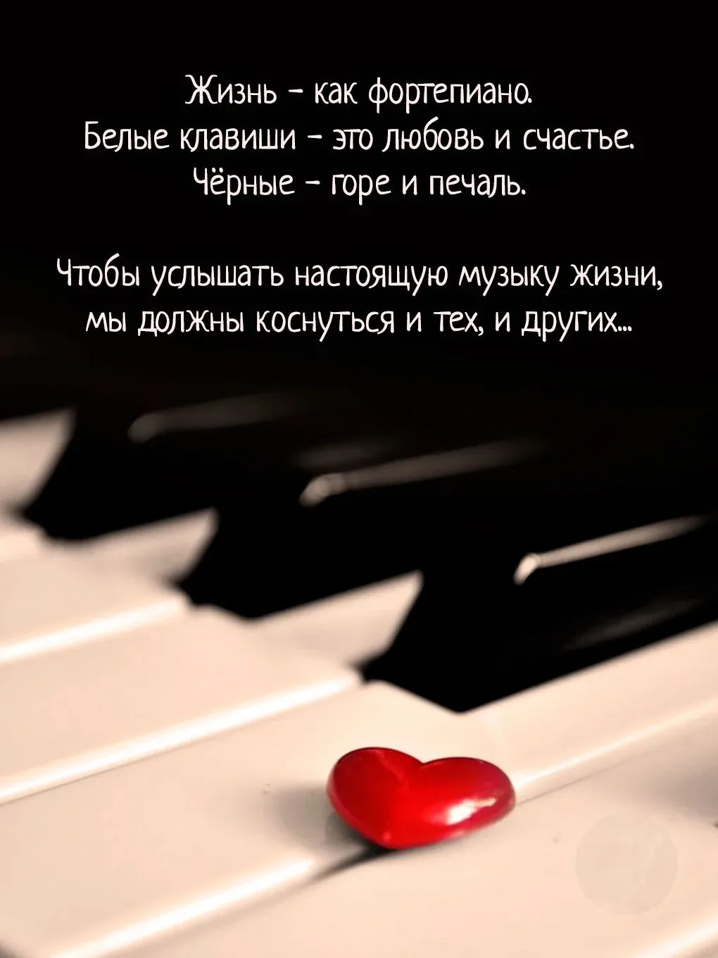 Цитаты 😉