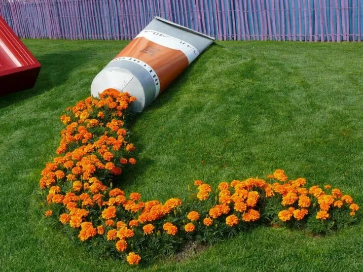 🌺немного оригинальных посадок🌺