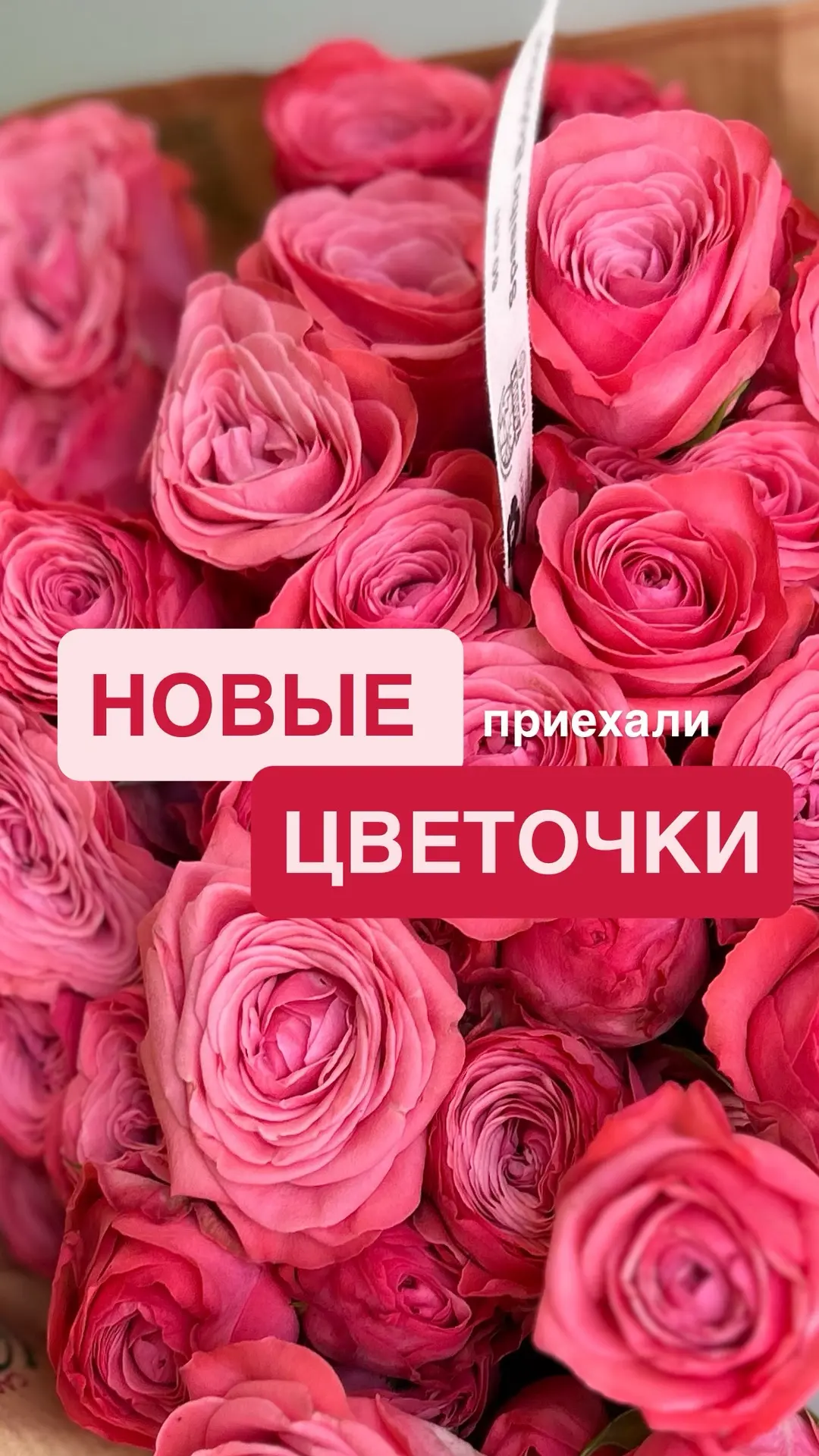 🌸 В цветочные лавки «Счастливая» приехали новые цветочки! 🌷💐