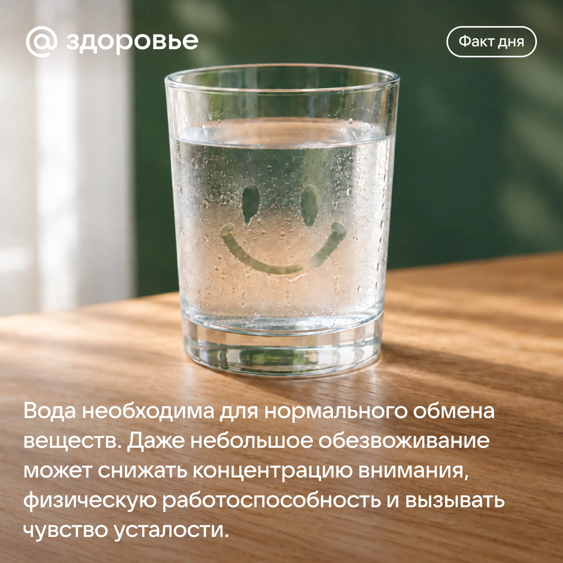 Не забывайте регулярно восполнять запасы жидкости в организме! 💧