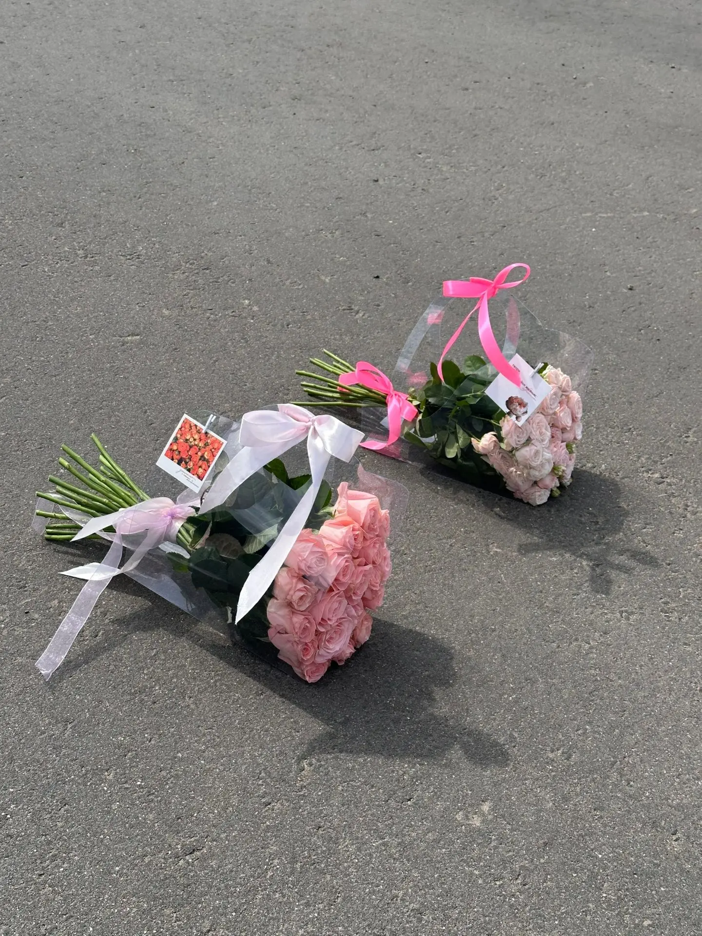 Элегантные сумки в наличии! 🛍