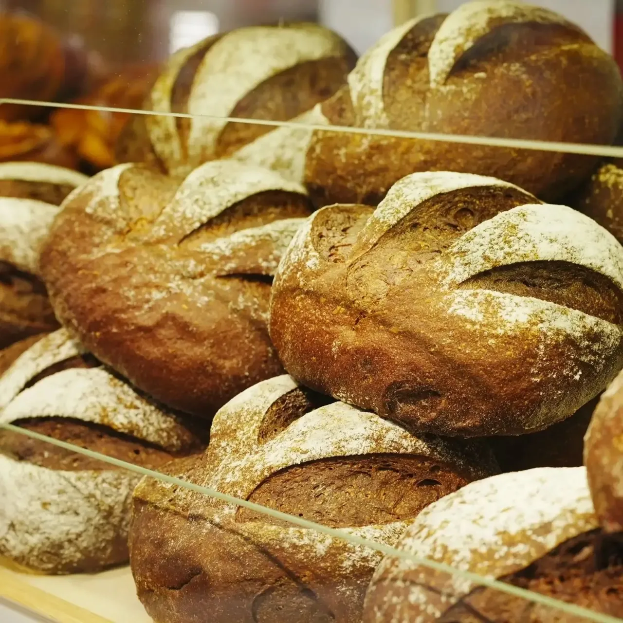 Поздравляем с Ореховым и Хлебным Спасом 🍞🌰Запасаемся энергией на осень: грызем орехи ...