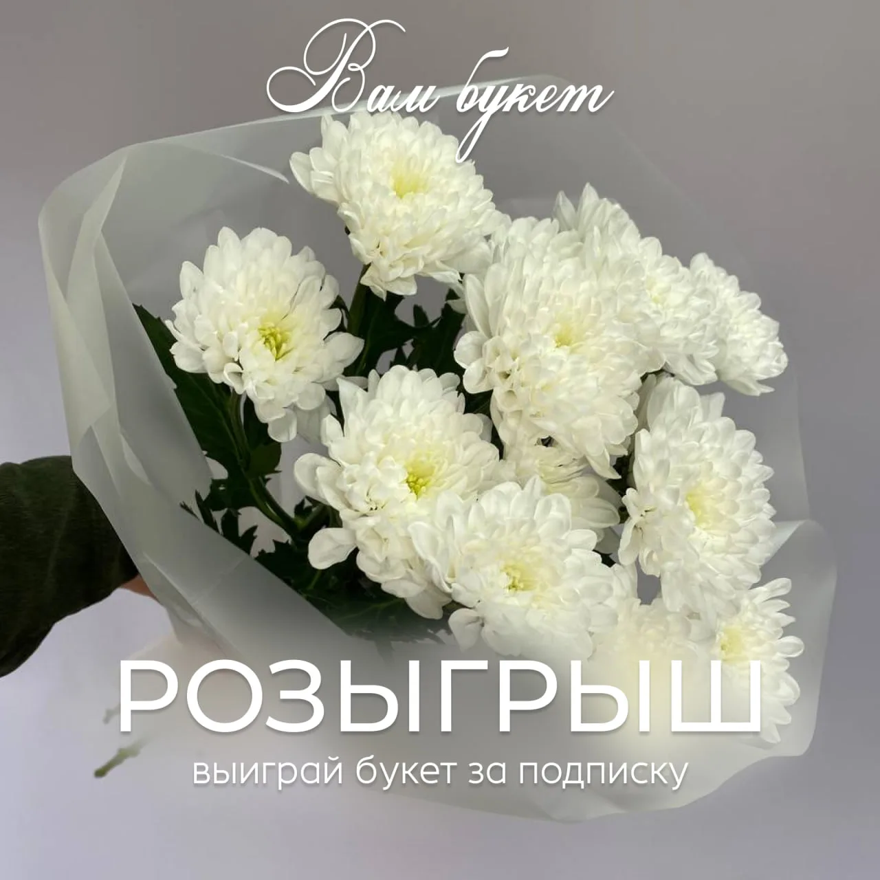 Дарим букет хризантем за подписку! 🤍