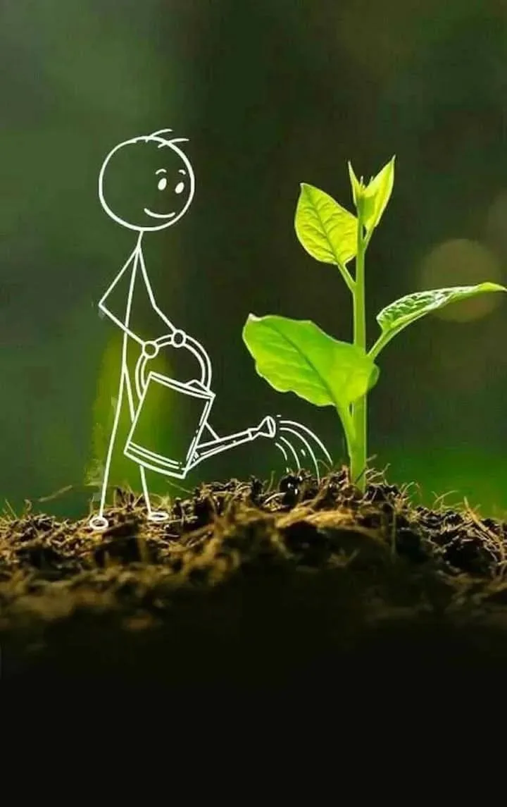Дорогие друзья ❤️