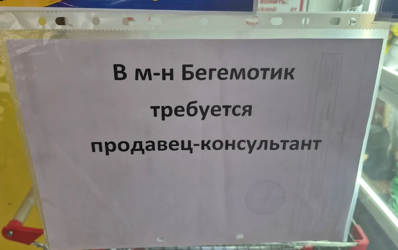 Марина Николаевна