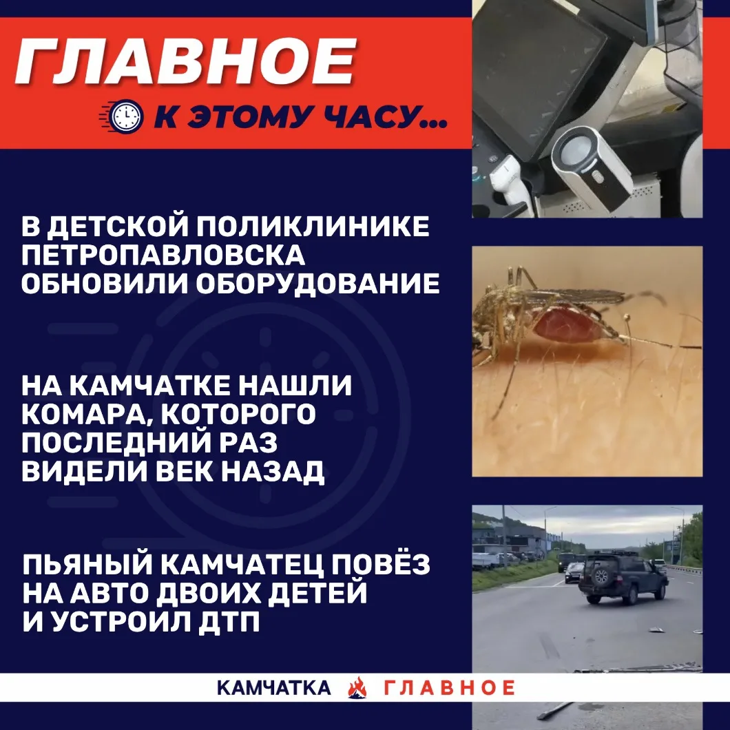 К этому часу…

Собрали для вас топ новостей к 17:30 по Камчатке.

«Вся Камчатка» рассказала, что про