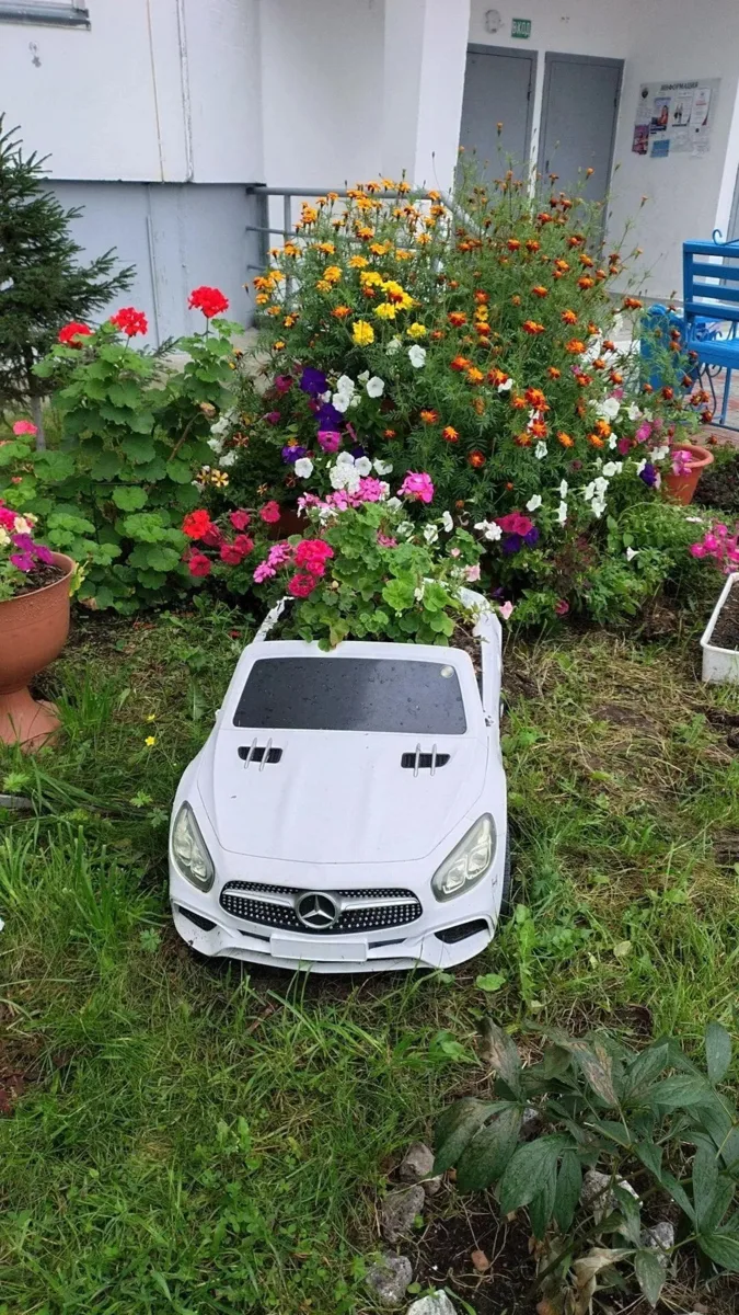 Когда в списке желаний написала, что хочешь от него цветы и машину😁