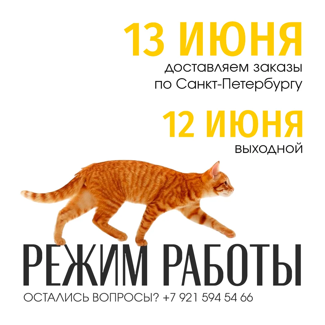 СКОРО ДЛИННЫЕ ВЫХОДНЫЕ. ЗАПАСАЙТЕСЬ НЕОБХОДИМЫМ ЗАРАНЕЕ